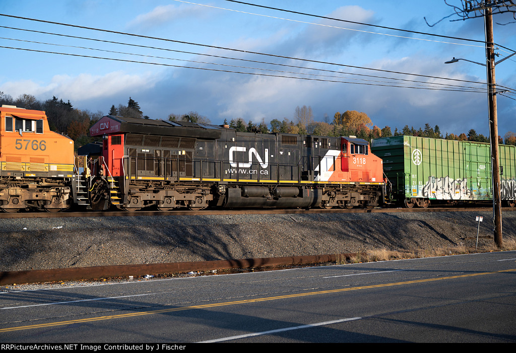 CN 3118